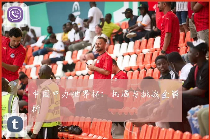 中国申办世界杯：机遇与挑战全解析