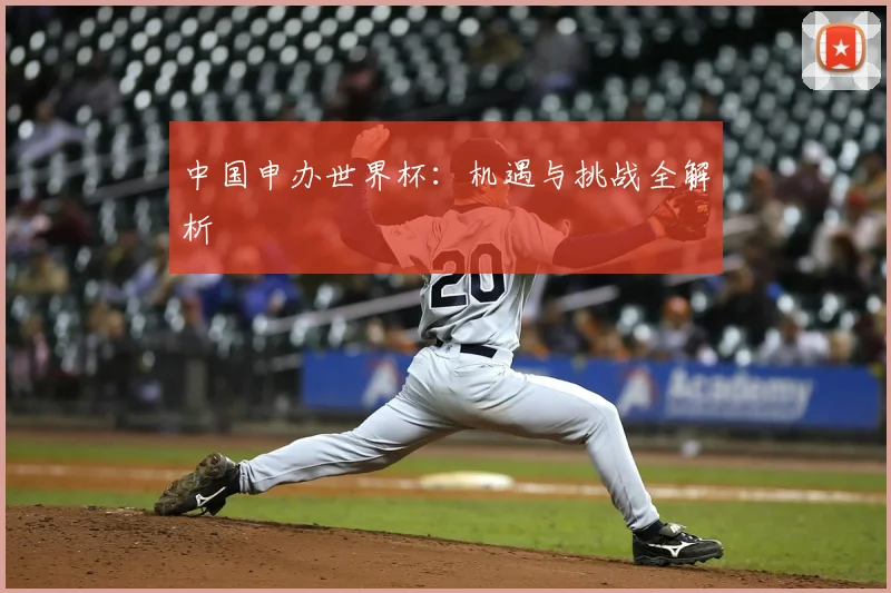 中国申办世界杯：机遇与挑战全解析