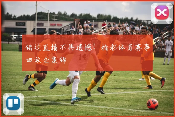 错过直播不再遗憾！精彩体育赛事回放全集锦